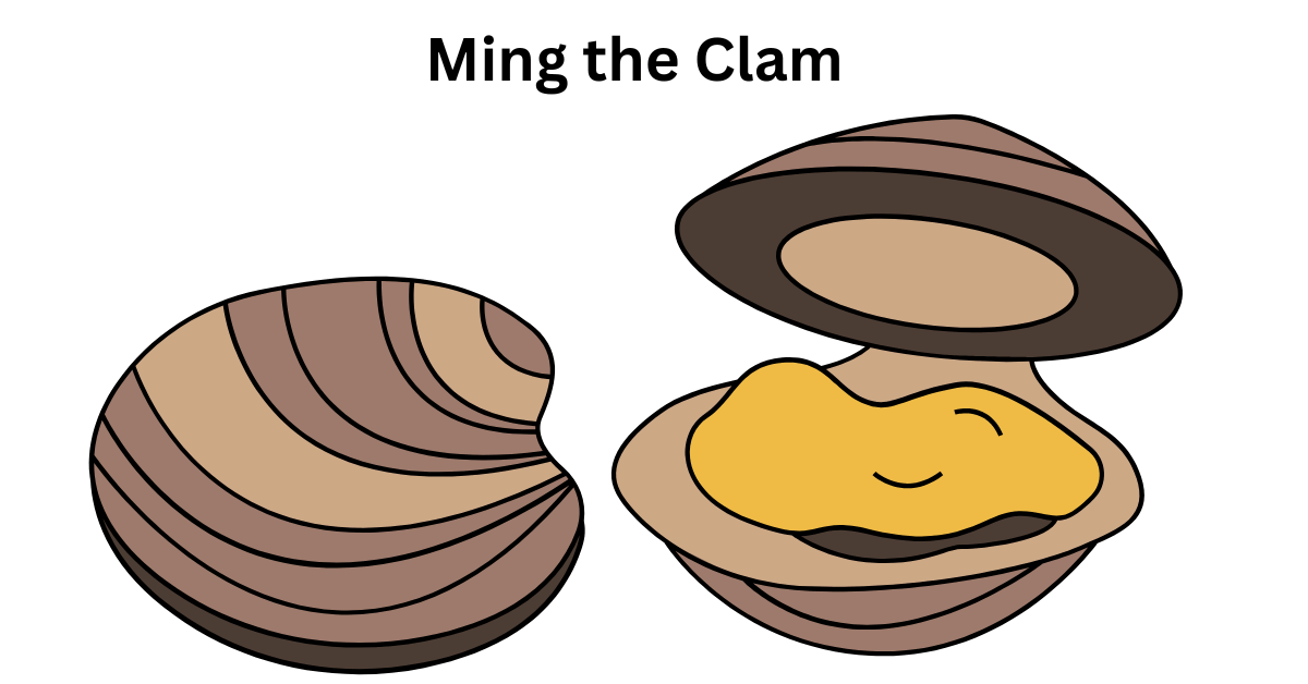 Shell of Ming the Clam, the world’s oldest known animal, preserved after accidental death